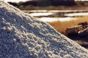 Les marais salants de Gu�rande